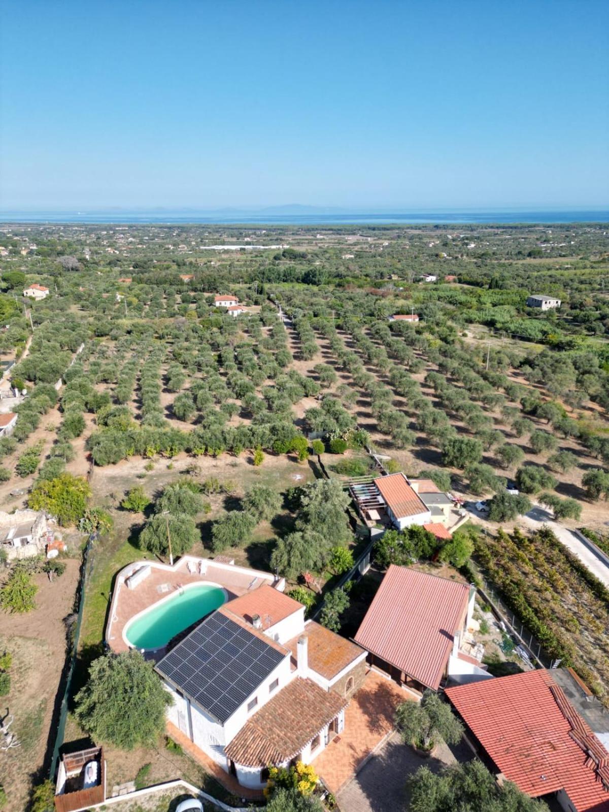 Villa Maddalena Guest House Sorso Zewnętrze zdjęcie